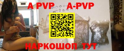 амф Сланцы