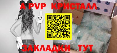 амф Сланцы