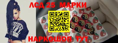 амф Сланцы